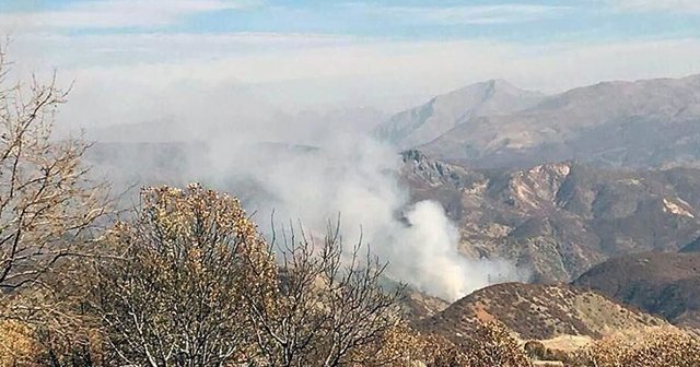 PKK'ya dev operasyon