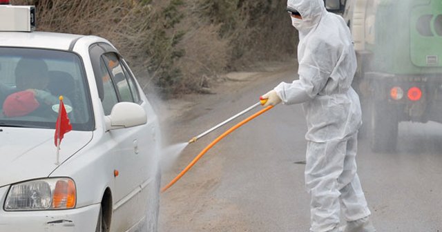 Salgın Avrupa&#039;da yayılıyor, kuş gribi İsveç&#039;e ulaştı