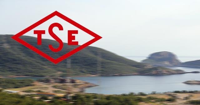 TSE&#039;den nükleer enerji için dev iş birliği