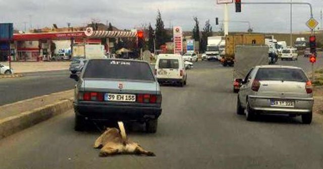 Vicdansız sürücü yakalandı