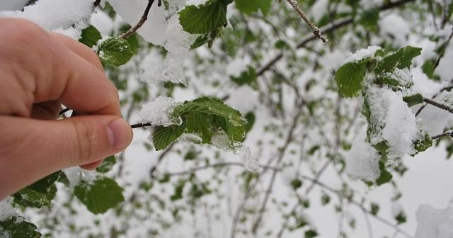 Meteoroloji&#039;den 5 il için buzlanma ve don uyarısı