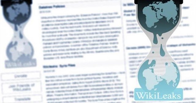 Wikileaks, Alman Meclis Araştırma Komisyonunun gizli belgelerini yayımladı