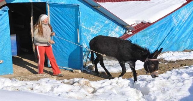 Bulgar Margarita, Denizli&#039;de doğal tarım yapıyor