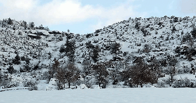 Eski belediye başkanı ölü bulundu