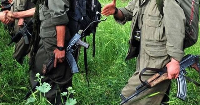 PKK’nın Serhat bölgesinin bombacısı yakalandı