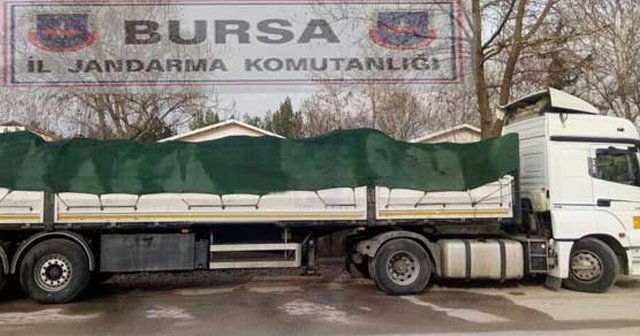 Tırda 20 ton kaçak midye ele geçirildi