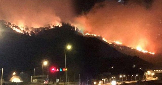 Trabzon Sürmene&#039;deki orman yangını kontrol altına alındı