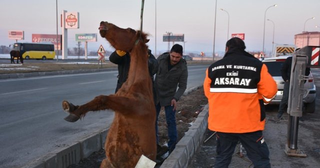 3 gündür kayıptı! 3 metrelik kuyudan çıktı