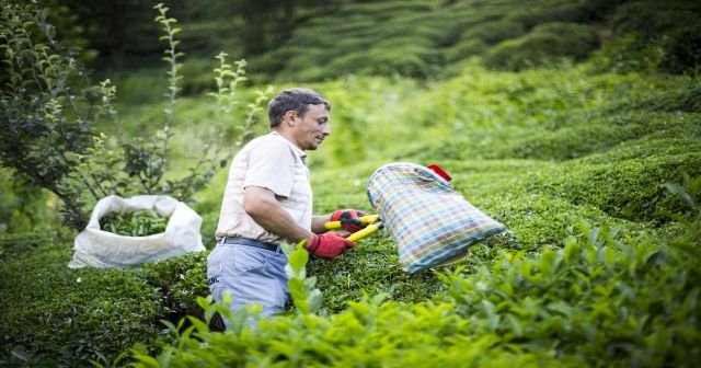 Belçika&#039;da Karadeniz Rüzgarları esecek