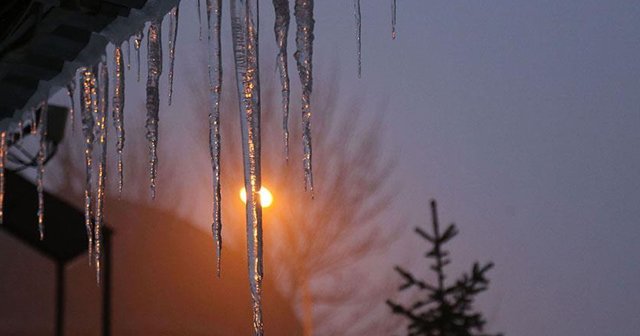 Erzurum&#039;da yoğun sis