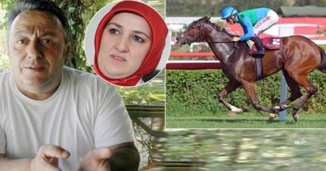 İsmail Türüt'ün atlarına el konuldu