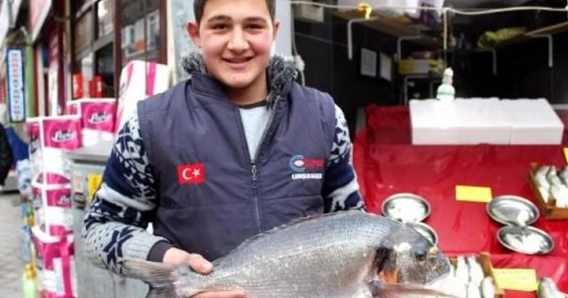 Karadeniz'e kaçan çupra şaşırttı