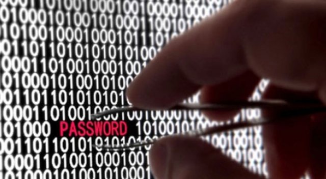 Türk hacker grubundan Almanya ve Hollanda&#039;ya siber saldırı