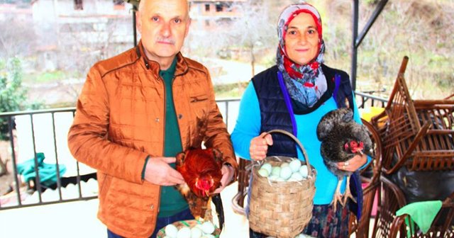 Zonguldak&#039;ta yeşil yumurta üretti, şimdi taleplere yetişemiyor