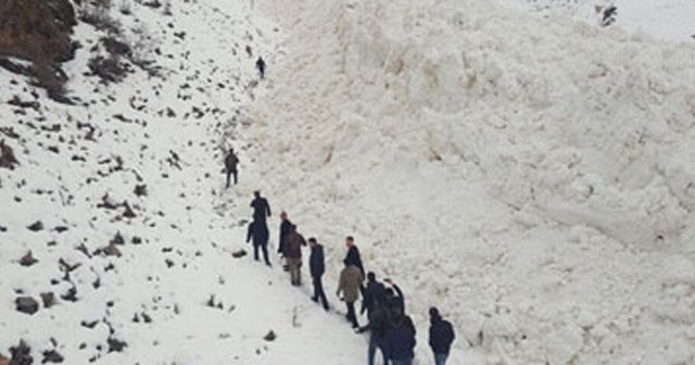 Van Çatak karayolu çığ düşmesi sonucu ulaşıma kapandı