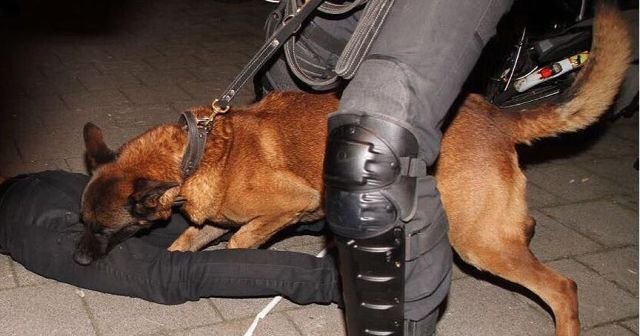 Hollanda&#039;da Türk vatandaşlarına polis köpekleriyle müdahale