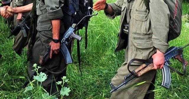 PKK&#039;nın sözde Bulanık ve Malazgirt grubu çökertildi