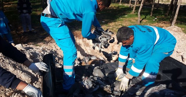 Şanlıurfa’da kuş ölümleri halkı tedirgin ediyor