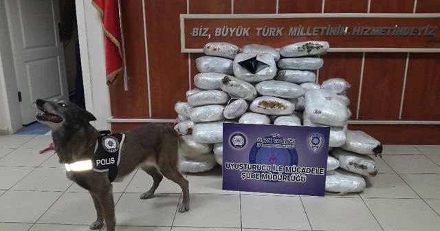 Tırın yakıt deposunda 210 kilo esrar ele geçirildi