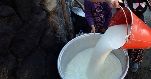 Toplanan inek sütü miktarı ocakta azaldı