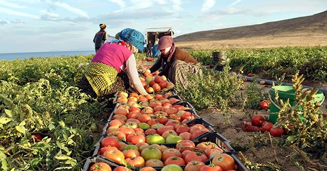 Üreticiye &#039;süper&#039; teşvikler geliyor