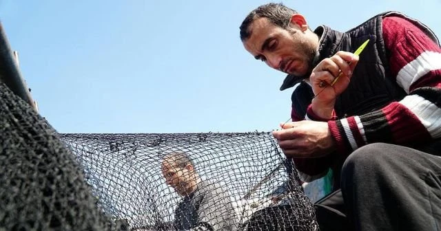 Balıkçıların son umudu 'istavrit'