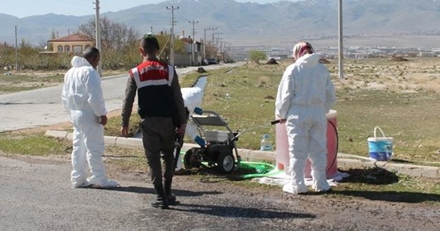 Bu kez Niğde’de kuş gribi şüphesi