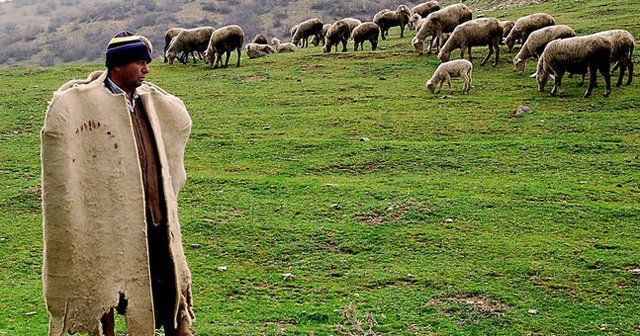 Çobanlığın yok olmasını önleyeceğiz