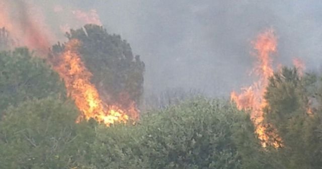 Foça&#039;da makilik alanda yangın