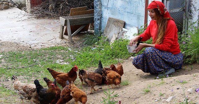 Podyumların yıldızıydı şimdi koyun otlatıp tavuk besliyor