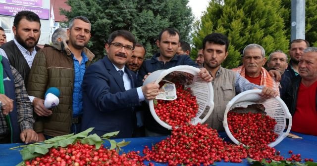 Sezonun ilk kirazı pazara çıktı