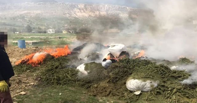 Terör örgütü PKK&#039;nın uyuşturucusu imha edildi