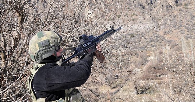 Bitlis&#039;te bir terörist teslim oldu