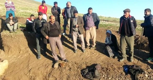 Çobanların dereden geçirdikleri koyunlar sele kapıldı