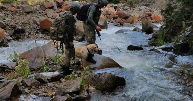 Giresun'da PKK operasyonları devam ediyor