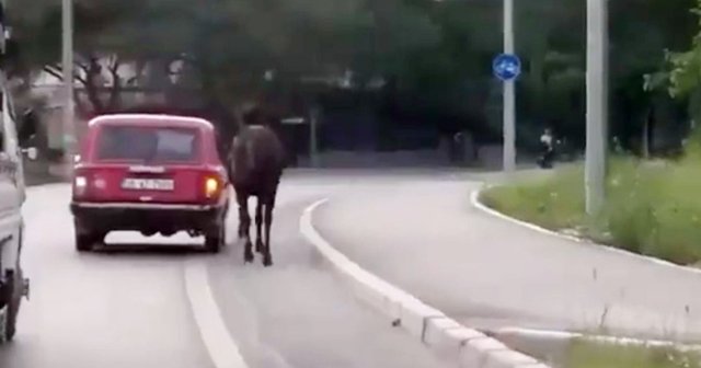 İzmir’de tepki çeken görüntü