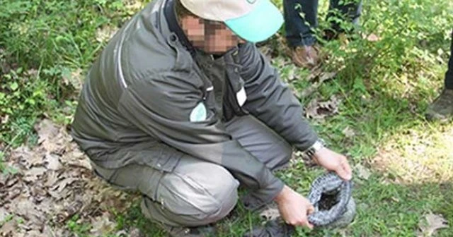 Sülük toplamanın bedeli ağır oldu