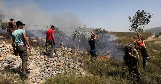 Yahudi yerleşimciler Filistinlilerin arazisini ateşe verdi