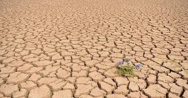 ABD&#039;nin iklim kararı sıcaklığı 0.3 derece artırabilir