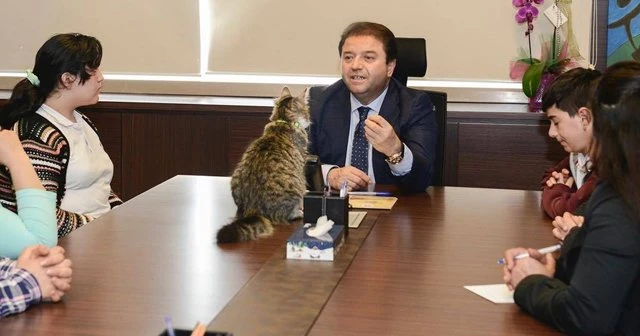 Ali Kılıç Nazlı Kedi'ye de masada yer verdi