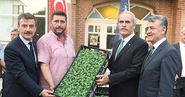 Bursa&#039;dan dünyaya hibrit biber ihraç edilecek