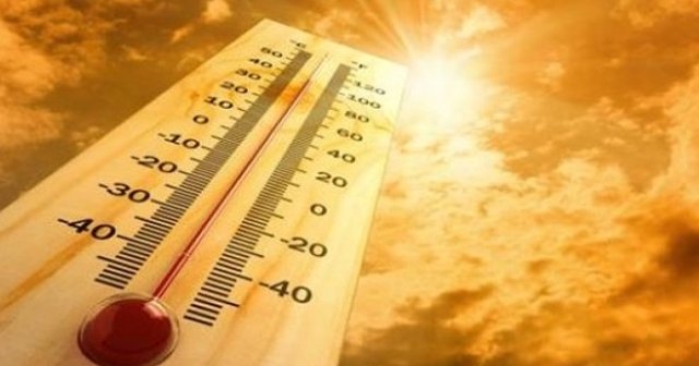 Dünya Meteoroloji Örgütü sıcaklık alarmı verdi