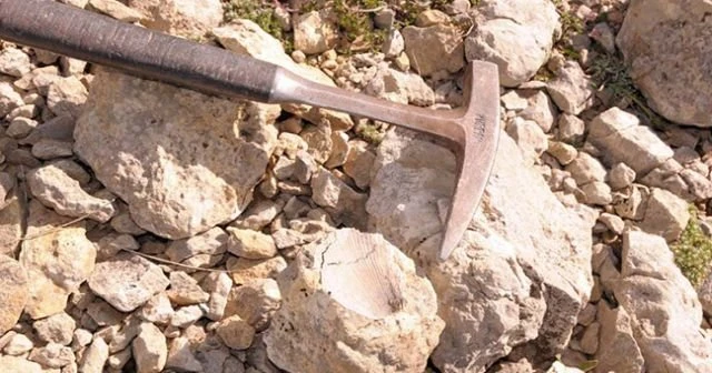 Ilgaz Dağı'nda 60 milyon yıllık deniz fosili bulundu