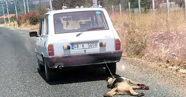 Köpeği otomobilin arkasında sürükleyen kişinin cezası belli oldu