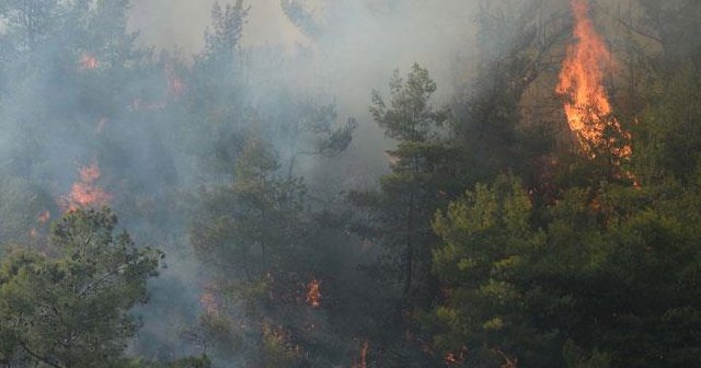 Meteoroloji&#039;den &#039;orman yangını&#039; uyarısı