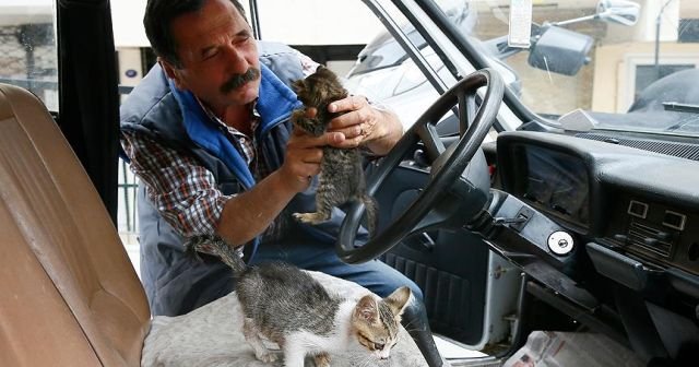 Otomobilini kediler için yuvaya dönüştürdü