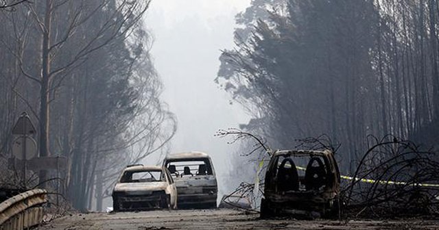 Portekiz&#039;de orman yangını: 61 ölü