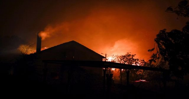 Portekiz’de orman yangını: Çok sayıda ölü var