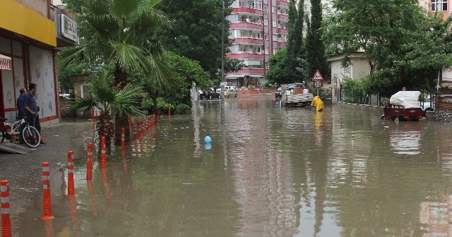 Yollar göle döndü, ağaca yıldırım düştü