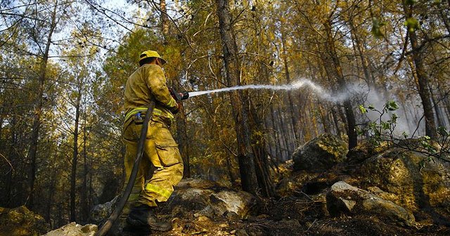 &#039;Orman yangınlarının yüzde 76&#039;sı 11.00-19.00 saatlerinde çıkıyor&#039;